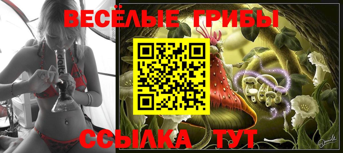 Галлюциногенные грибы прущие грибы Нижнекамск