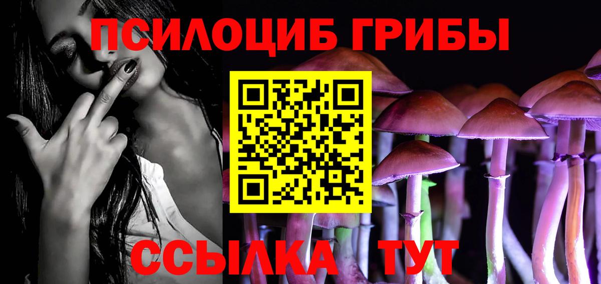 Галлюциногенные грибы прущие грибы  Вход с VPN  Нижнекамск 